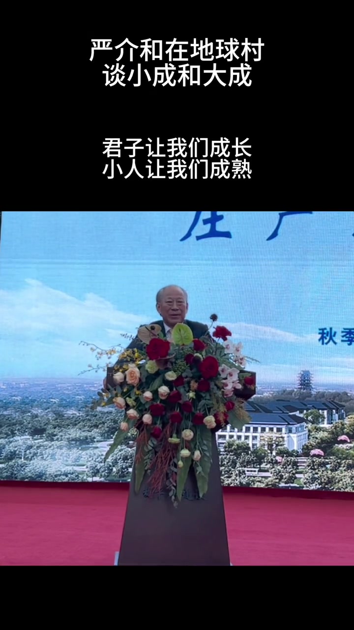 严介和在地球村谈小成和大成 严介和 地球村 成功-度小视