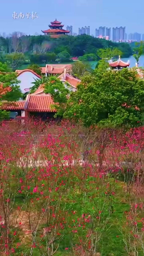 阳春三月,泉州西湖公园桃花岛上的桃花悄然盛开,快约上三五好友,一起
