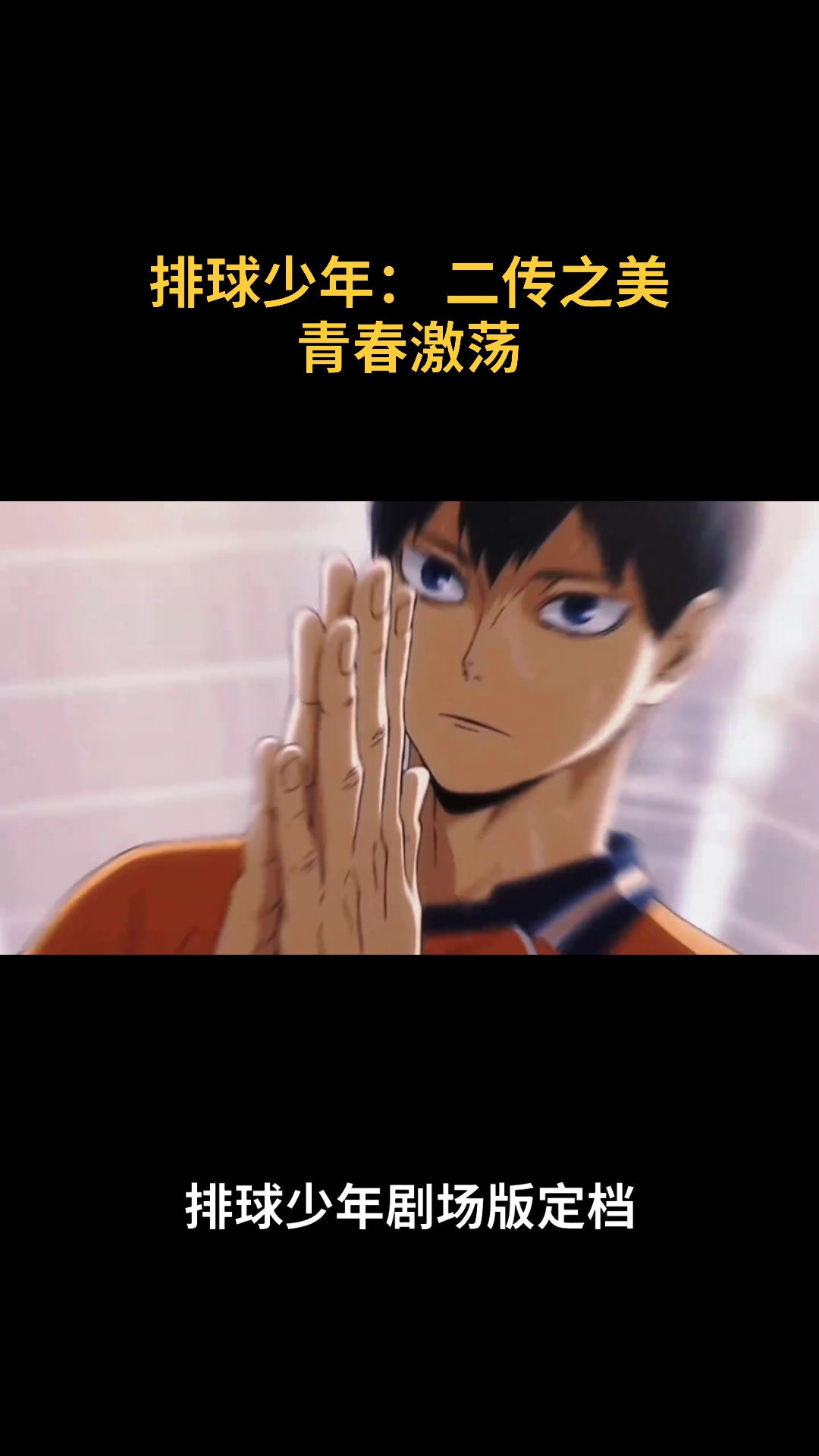 排球少年:二传之美 青春激荡