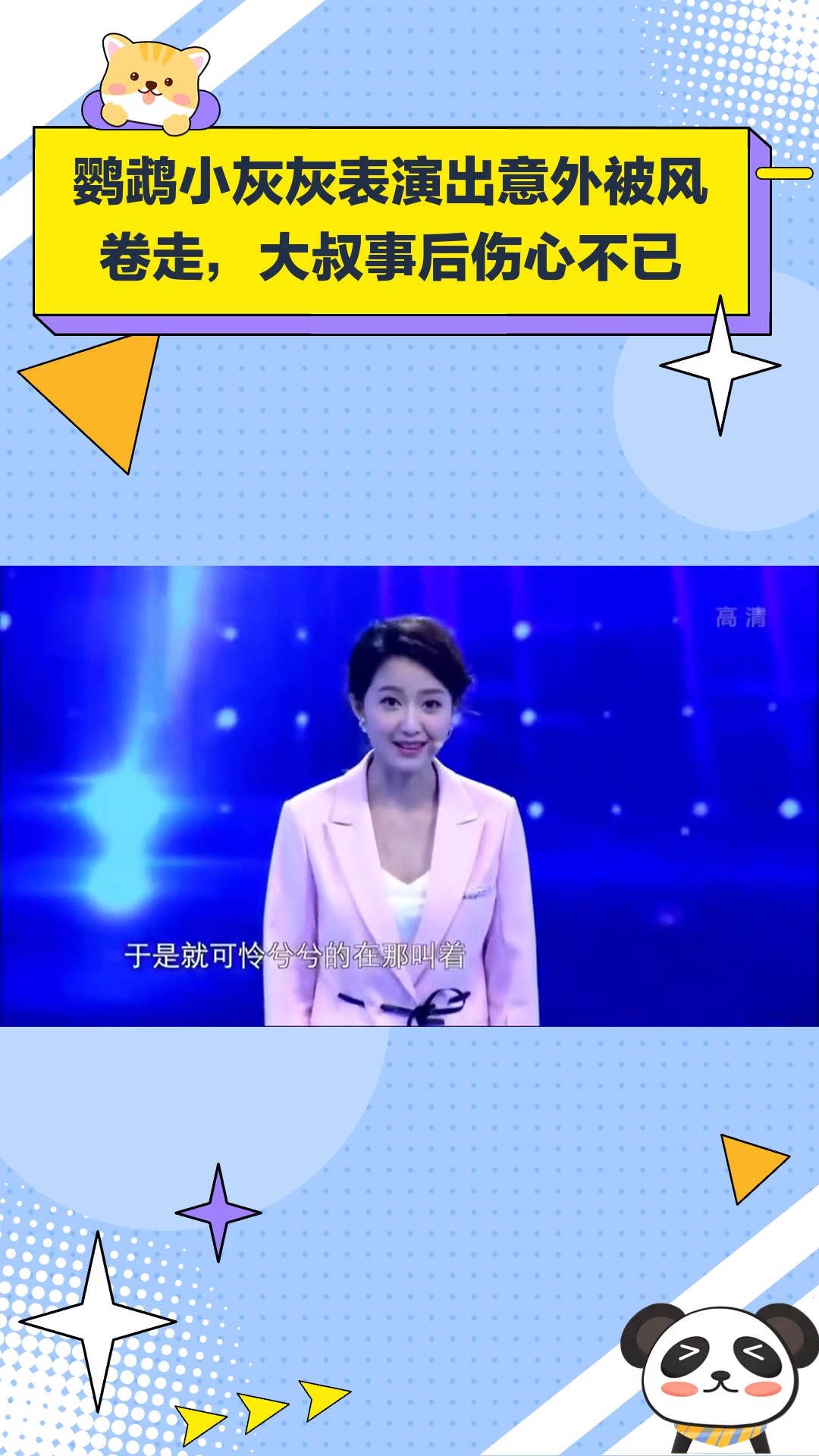 有请主角儿:鹦鹉小灰灰表演出意外被风卷走,大叔事后伤心不已