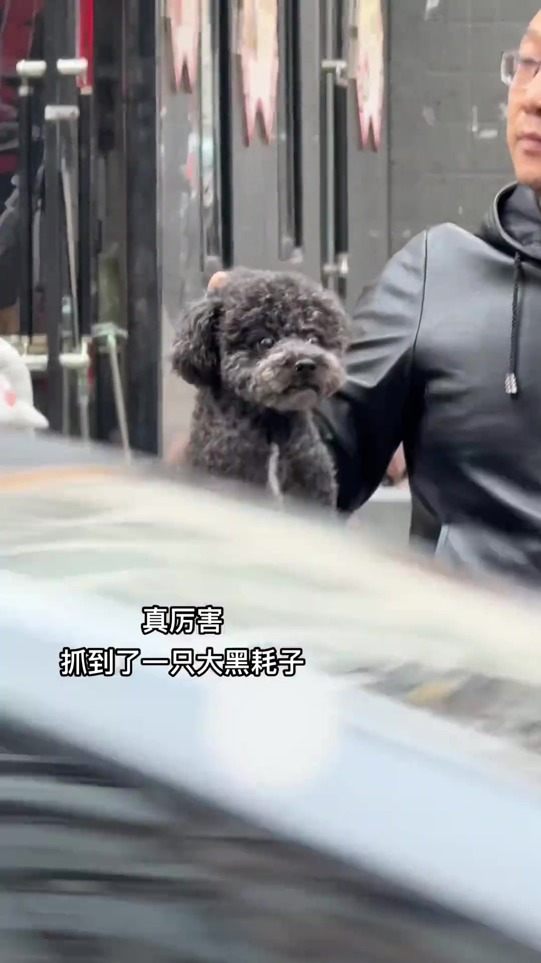 小猫篇之《大黑耗子》