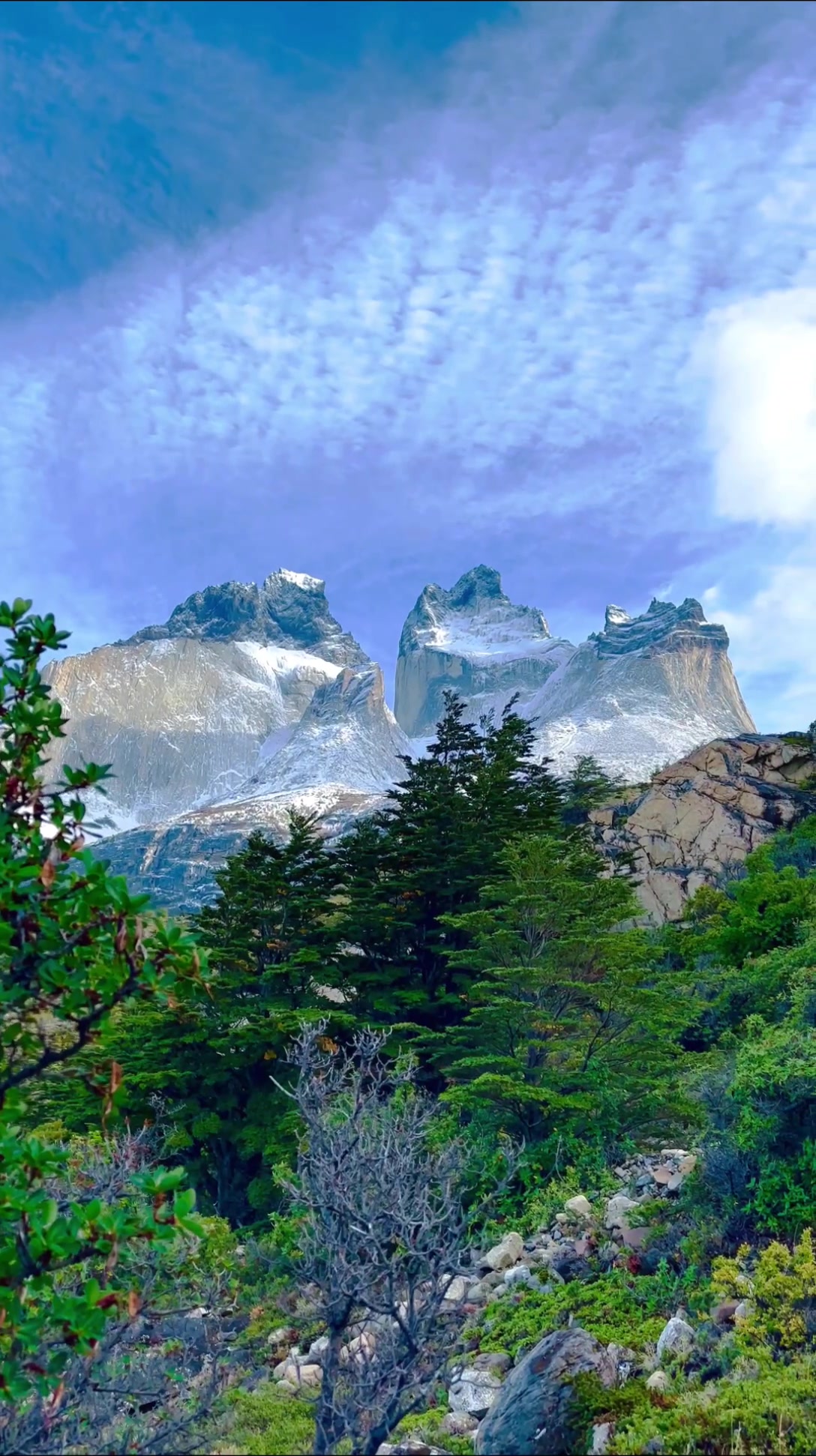 百内国家公园 - 智利