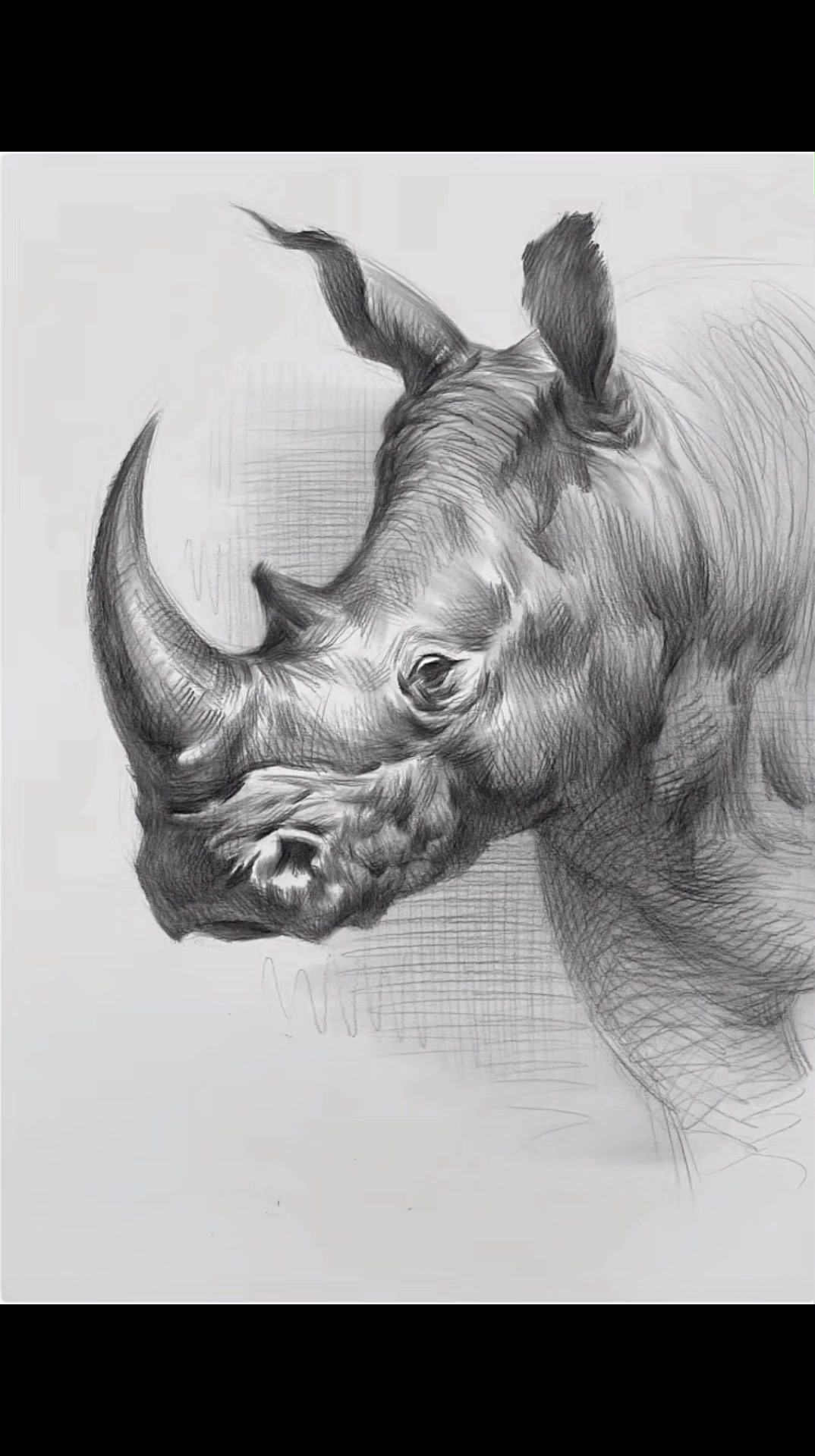 素描动物犀牛超完整步骤,不怕你学不会