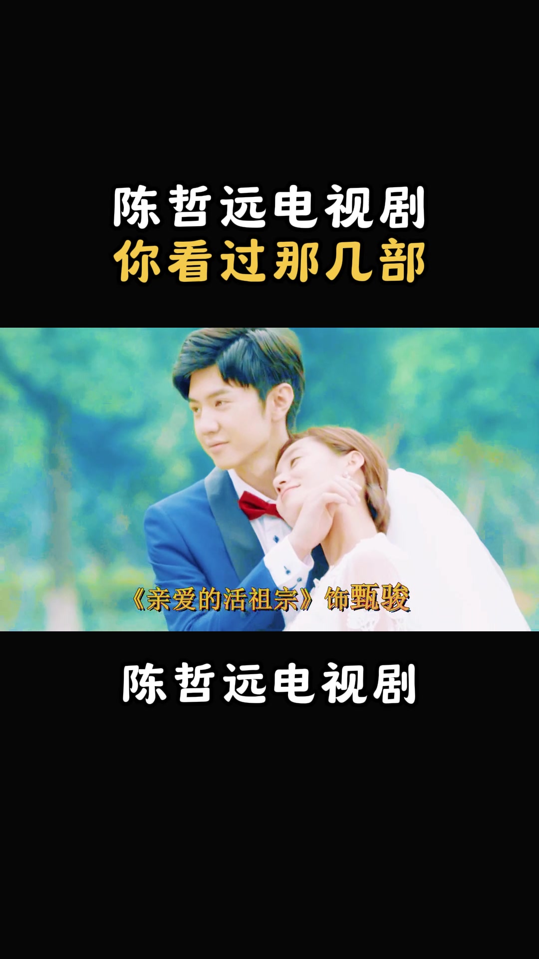 陈晓电视剧:陈哲远电视剧,你看过那几部