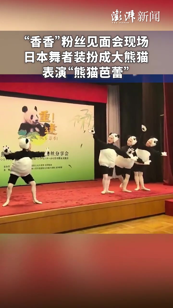 "香香"和粉丝云见面,日本舞者跳起"熊猫芭蕾"-度小视