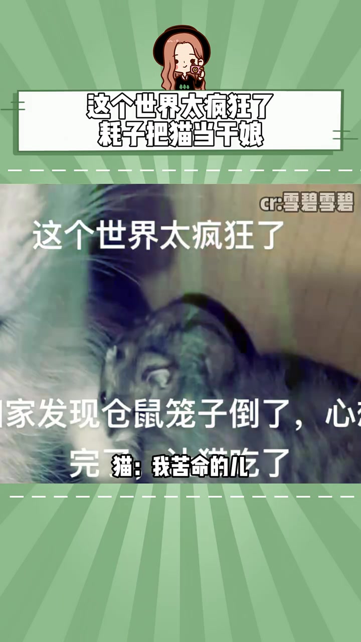 这个世界太疯狂了,耗子把猫当干娘