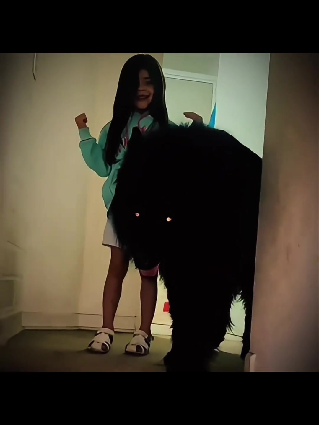 这该死的安全感犬给你看看我们家恶犬