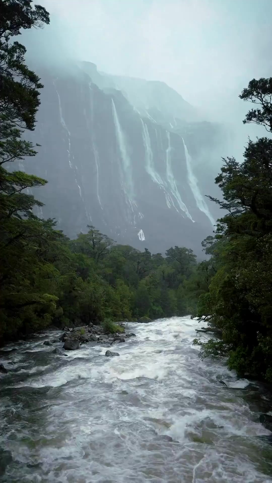 新西兰米尔福德海峡是最潮湿的有人居住地也是世界上最潮湿的居住地