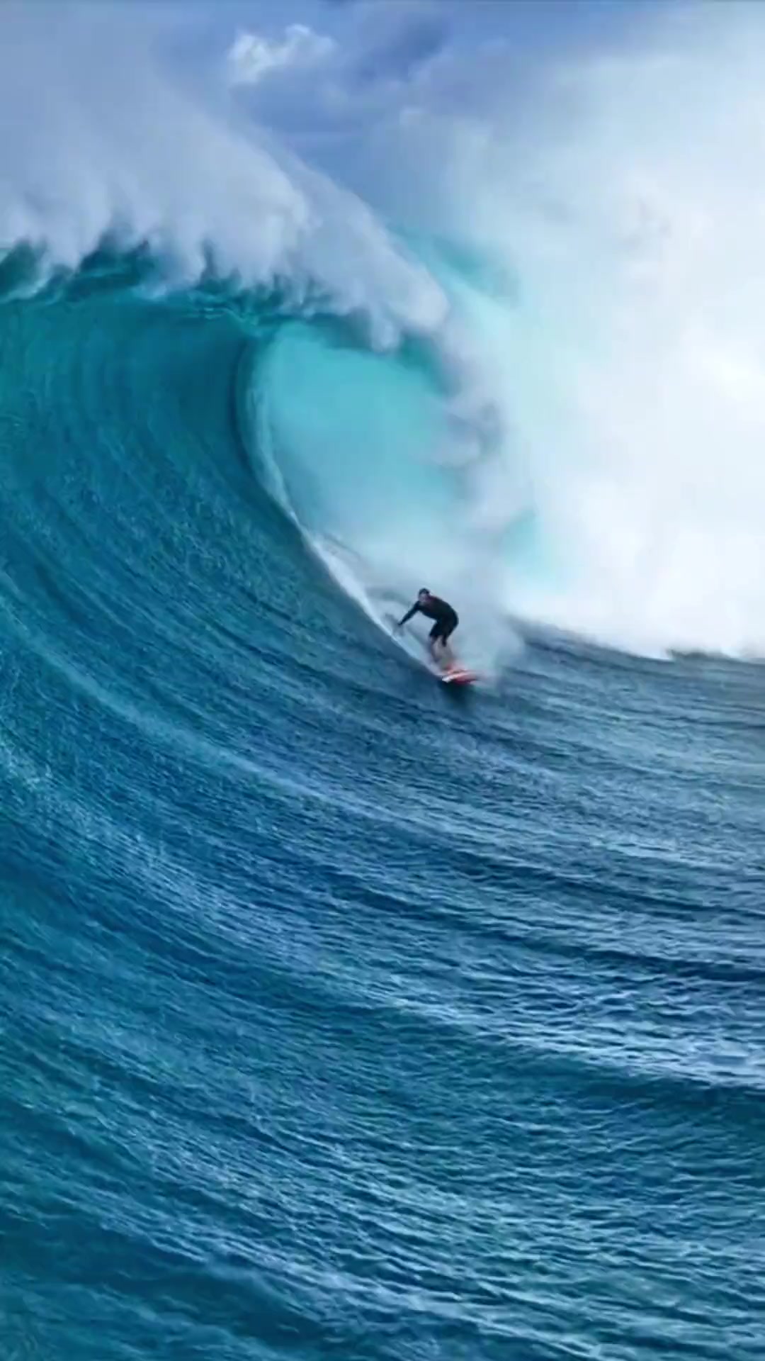 尾崎八项—水之生灵仙人之下我无敌尾崎八项冲浪