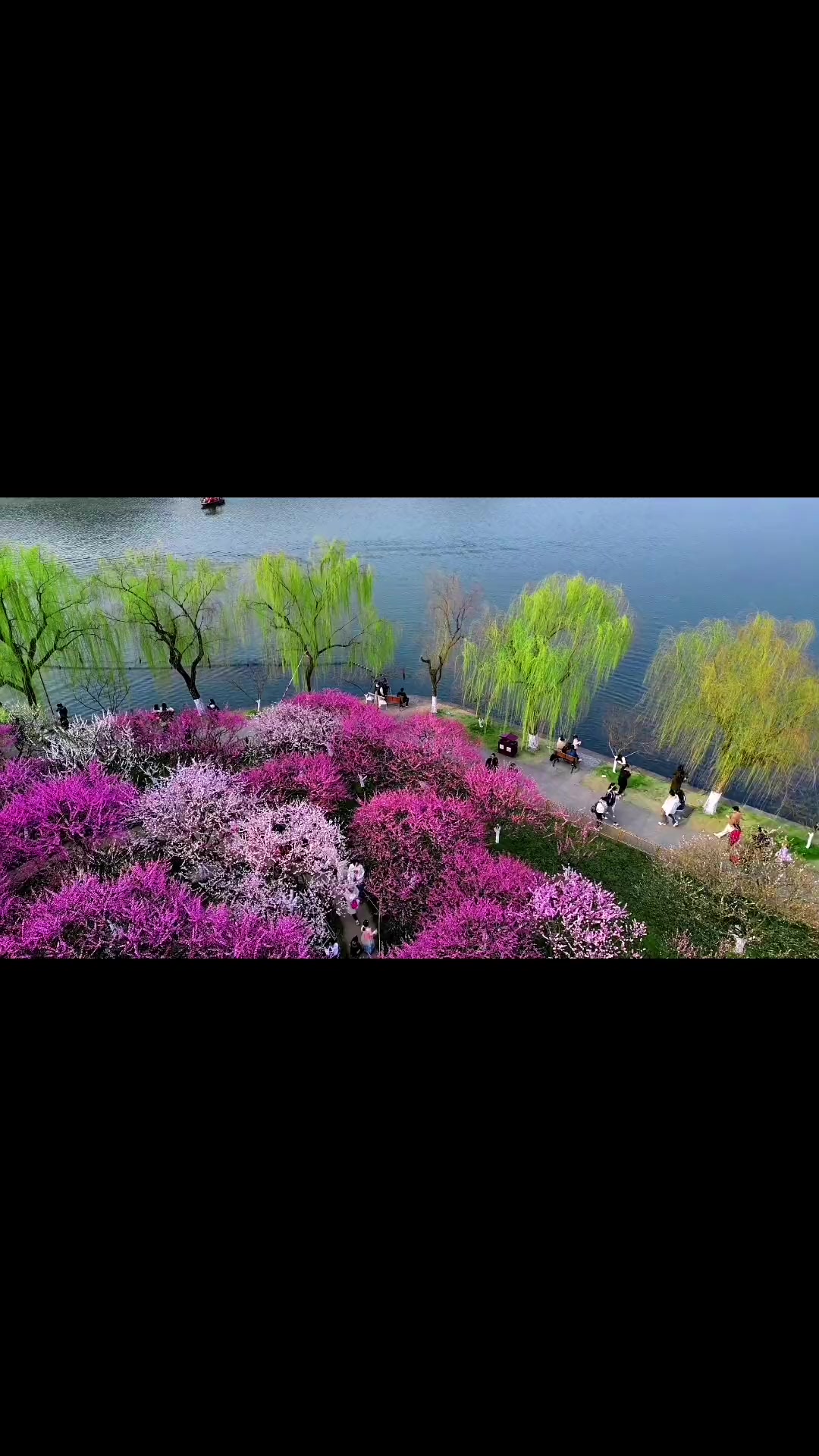 人间最美三月天