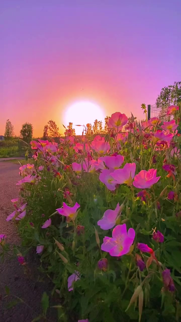 落日余晖映晚霞一抹夕阳美如画醉美晚霞