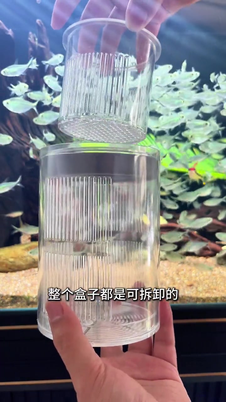观赏鱼 母鱼 孵化盒 鱼缸隔离盒 水族用品