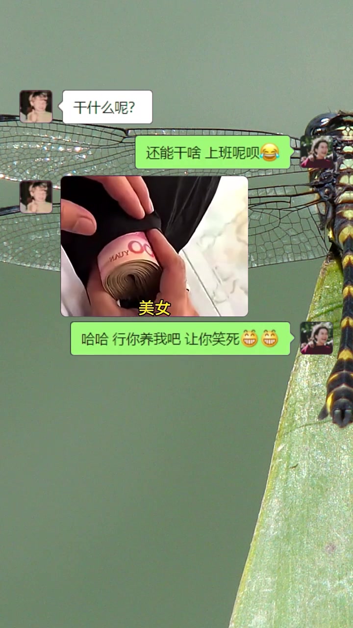 顶部搜索框中查询独图小程序输入2427获得同款表情包