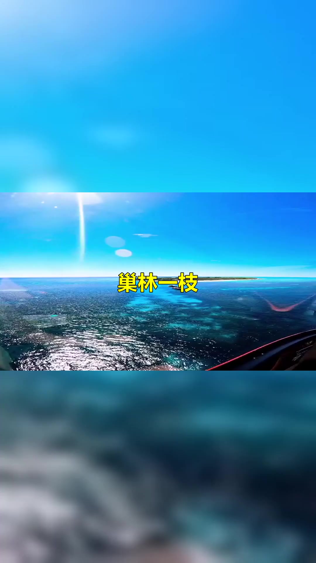 庄子智慧之巢林一枝p