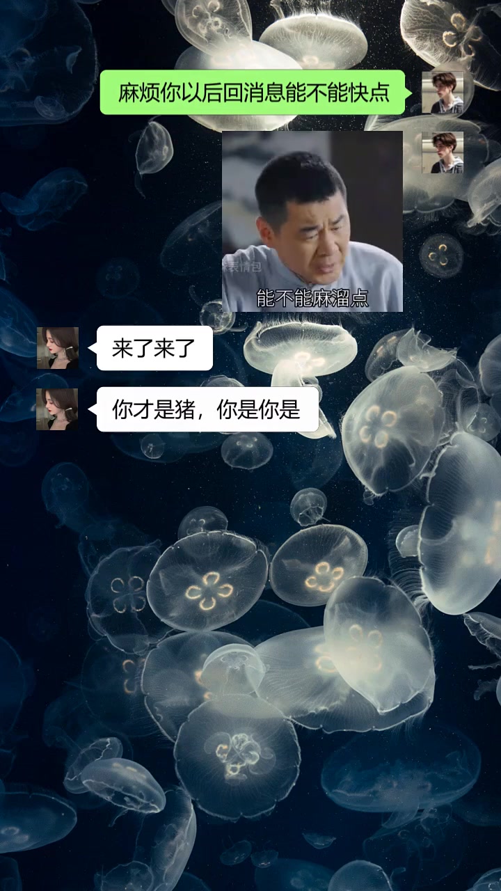 顶部搜索框中查询独图小程序输入1674获得同款表情包