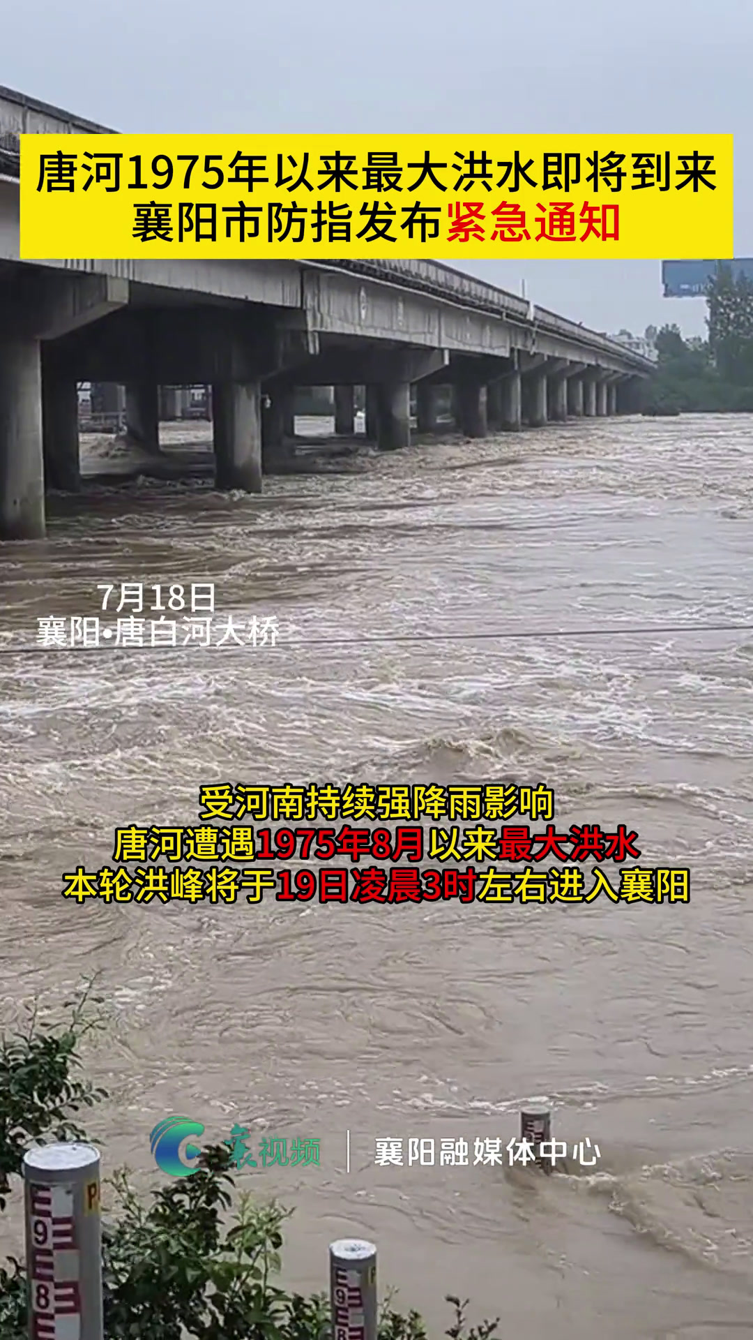 受河南持续强降雨影响,唐河遭遇1975年8月以来最大洪水,本轮洪峰将于7