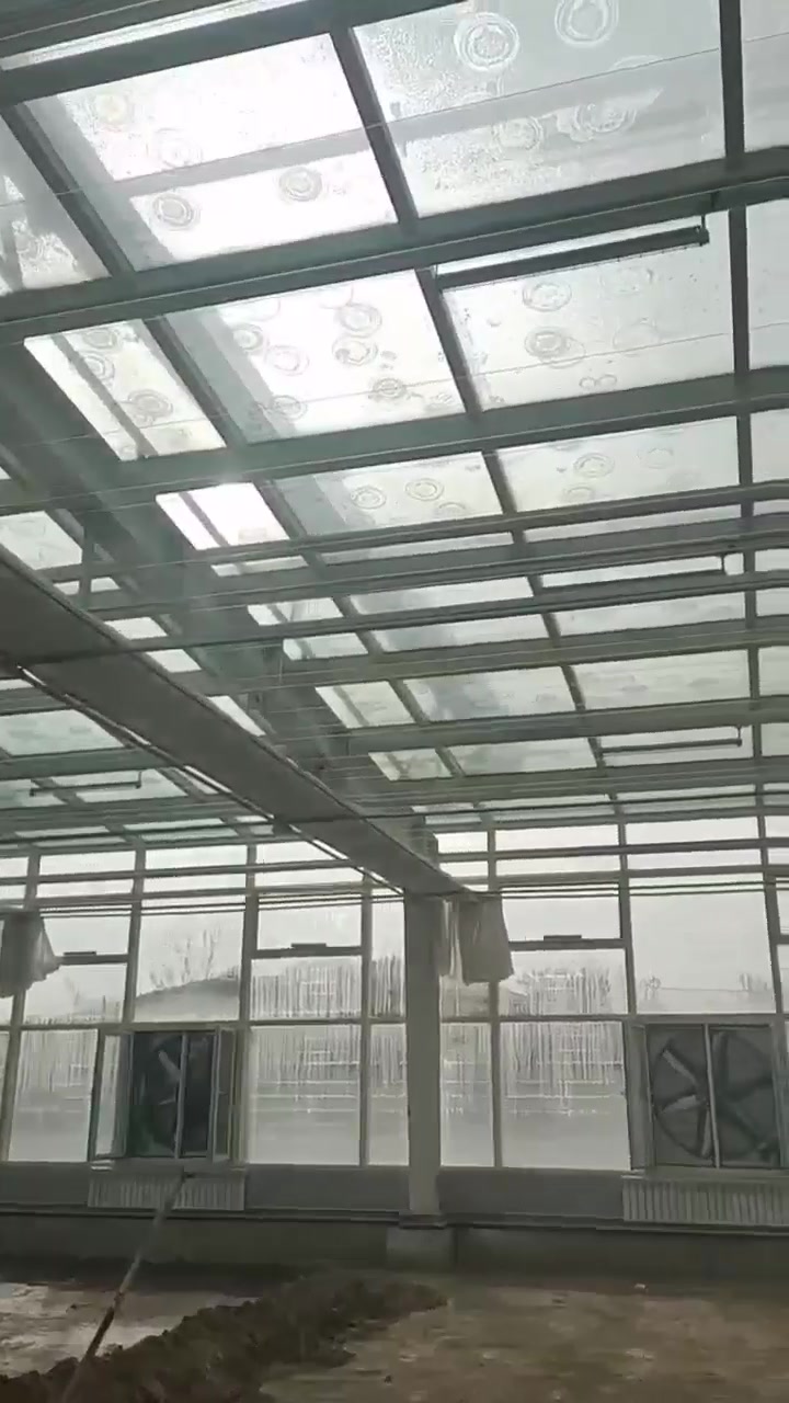 连栋玻璃温室大棚的内部展示