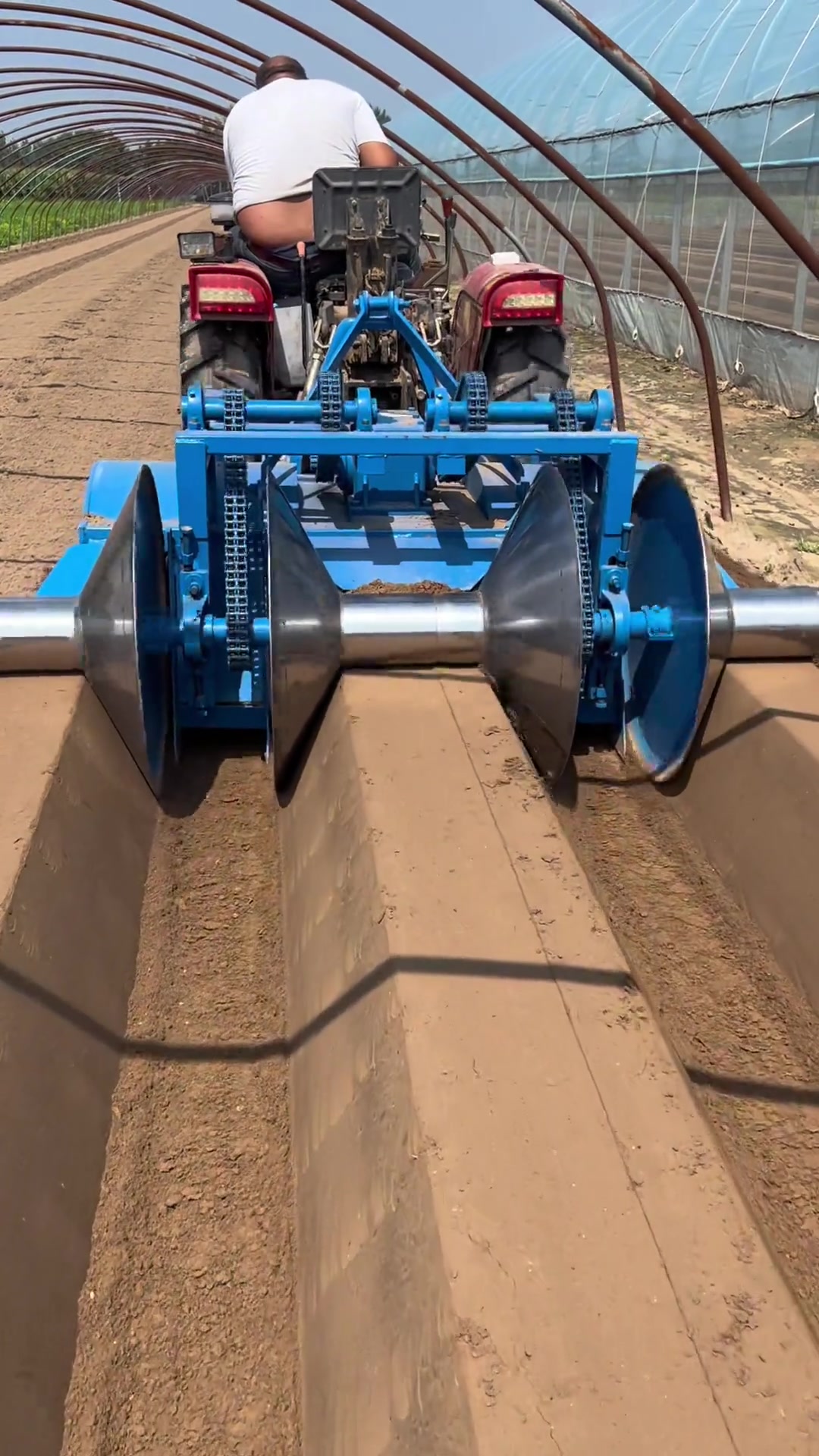 草莓大葱大姜起垄机