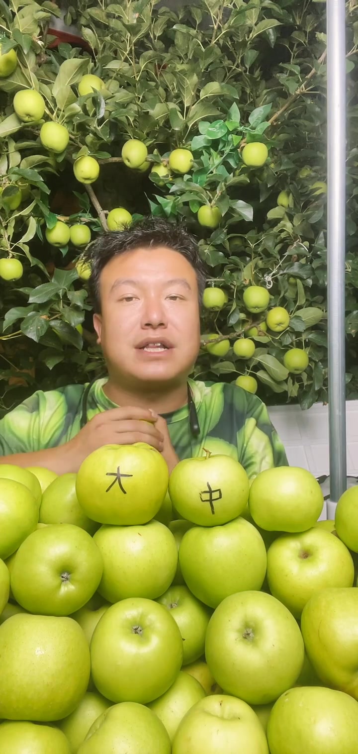 买它买它!昭通青苹果正宗昭通青苹果青香蕉
