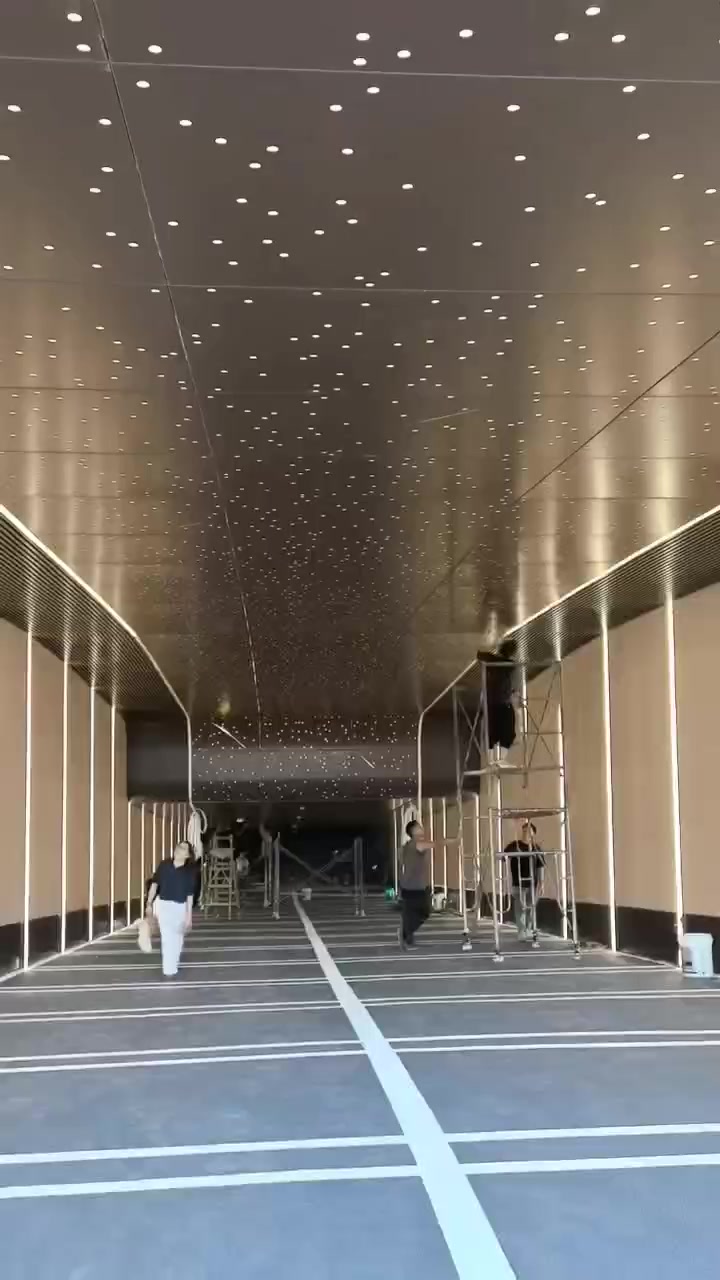 led线条灯 金色射灯 地下车库照明灯