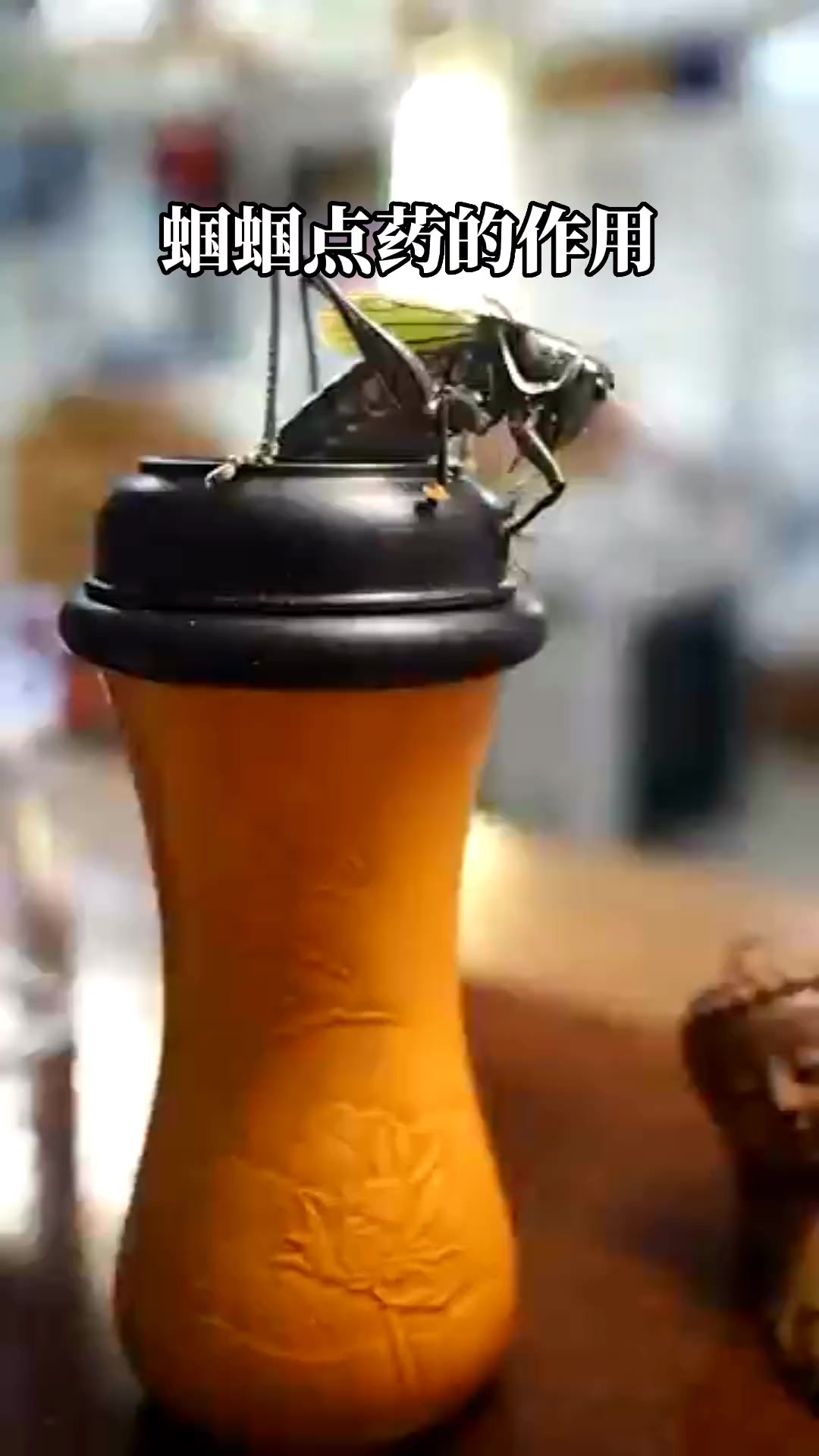 创作灵感蝈蝈点药也分为两种,明药和暗药@抖音小助手 蝈蝈