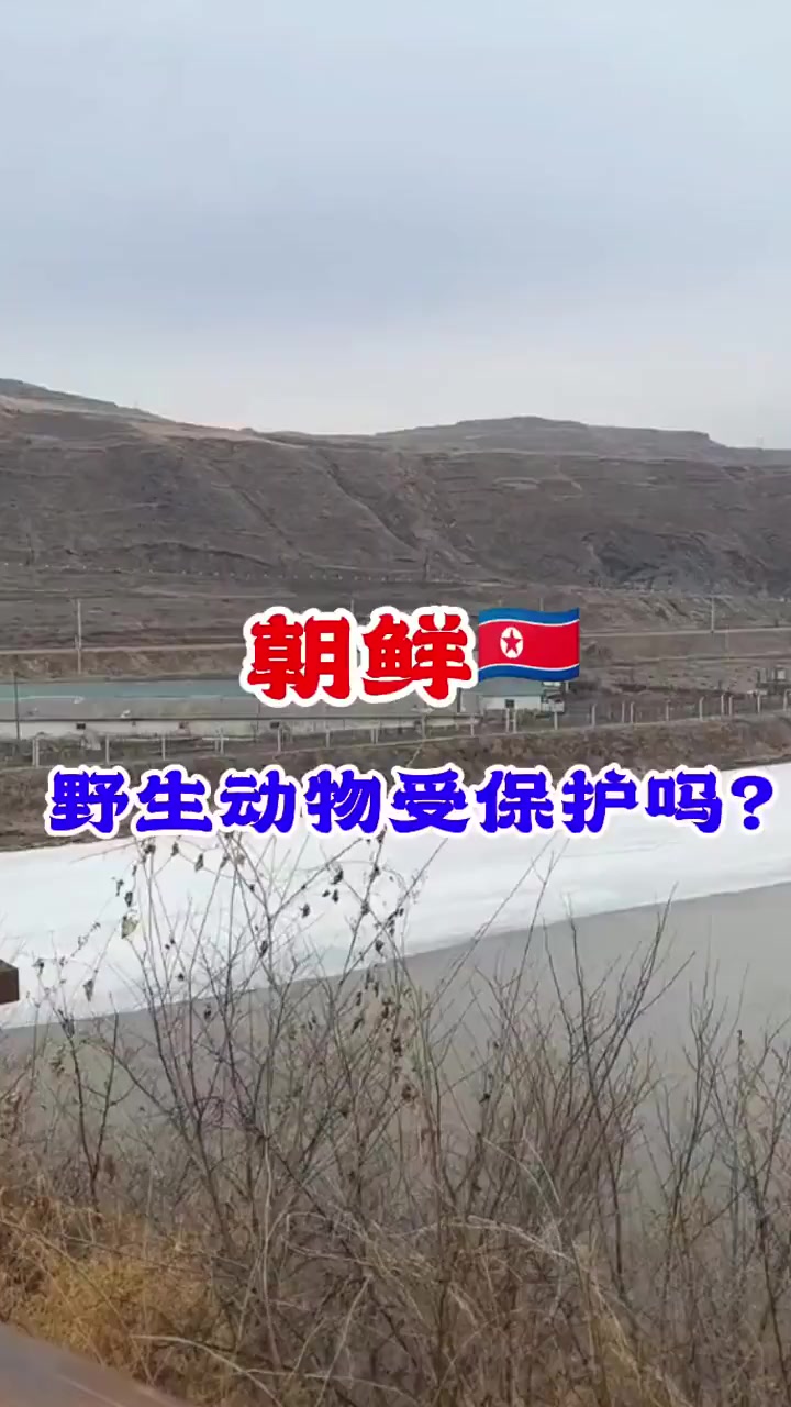 朝鲜野生动物受保护吗?