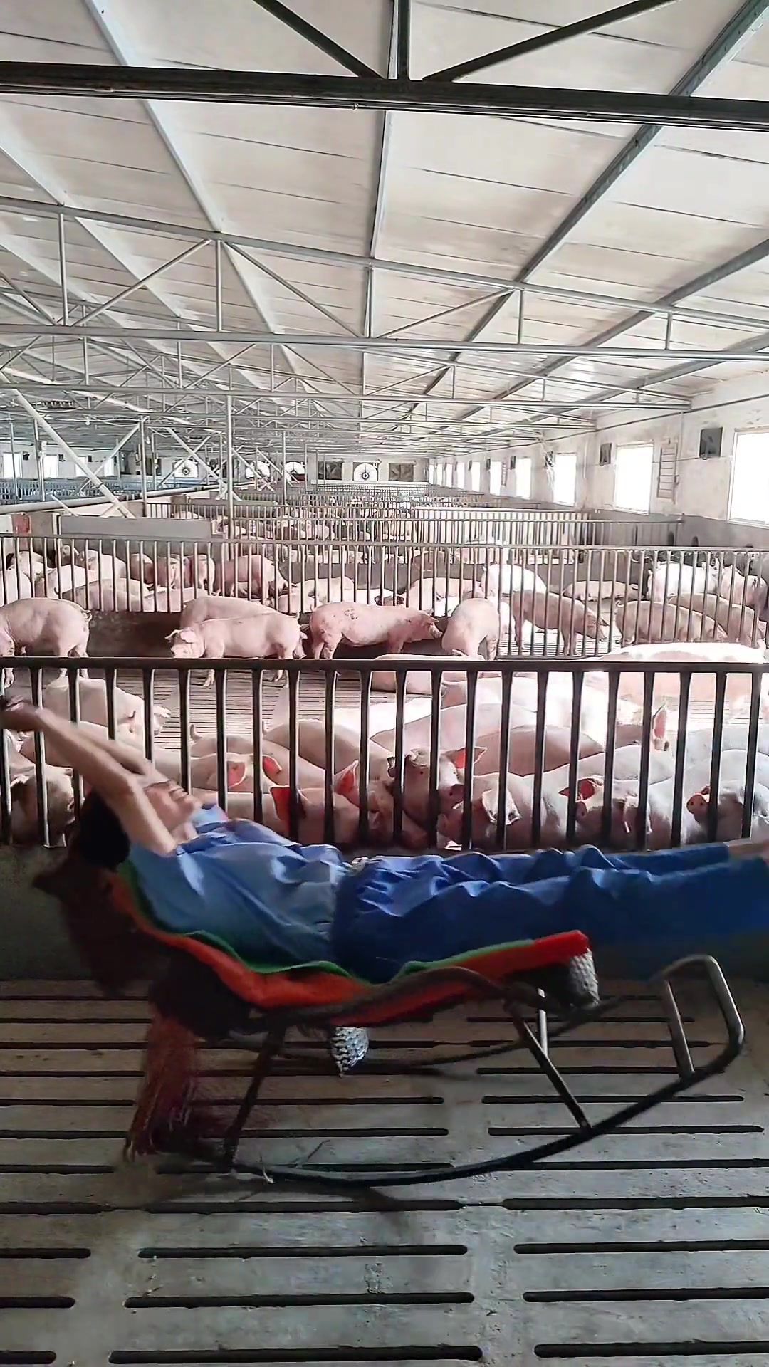 姐妹,格局打开,没事来猪栏里趁空调,凉快的很,急也