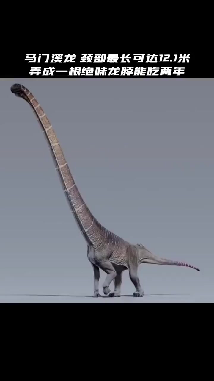 马门溪龙的颈部最长可达12.1米,弄成一根绝味龙脖能吃两年