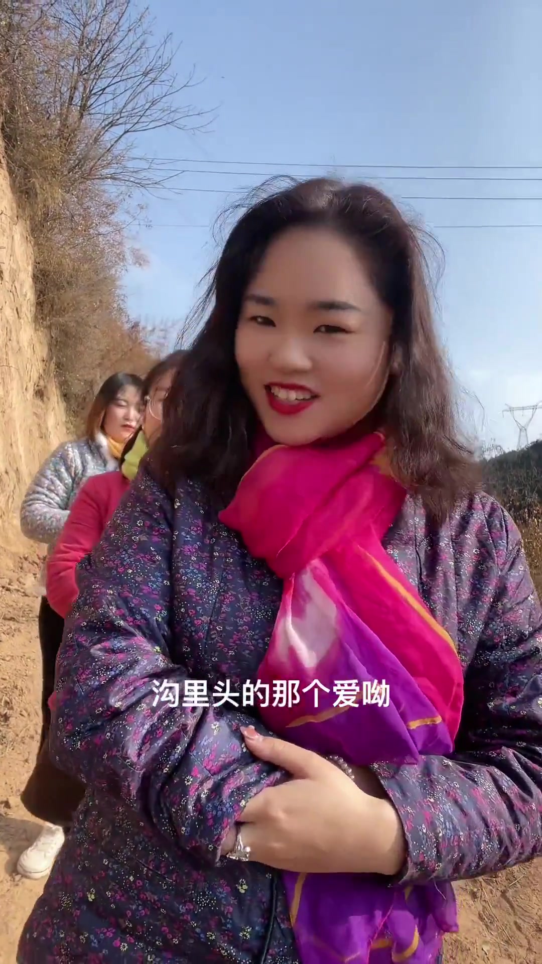 黄土坡上的兰花花