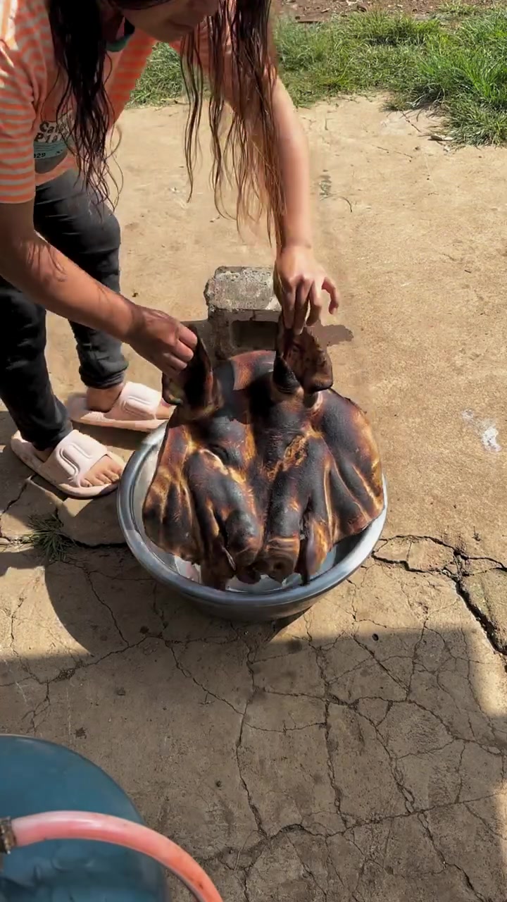 给六姊妹洗头洗澡,洗最后一个猪头肉来煮了晚上去城里回来吃,老大老二