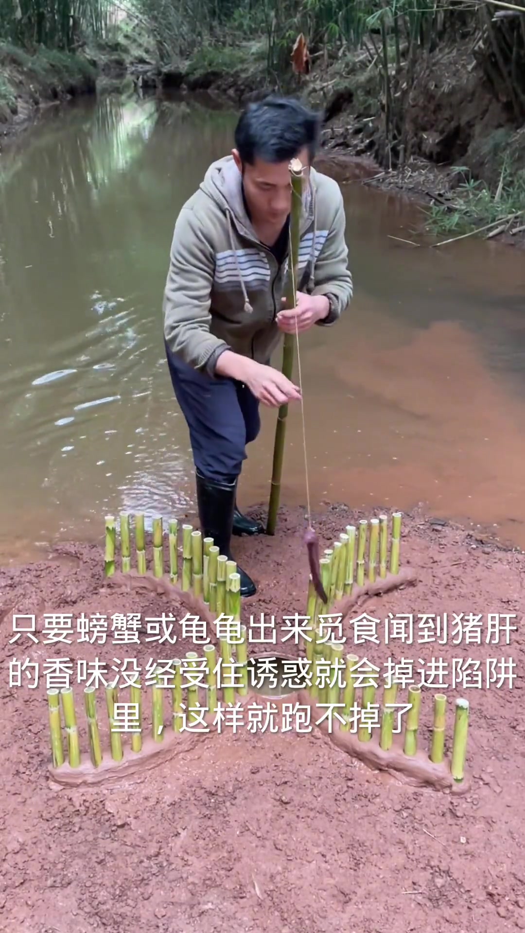 为了抓龟龟 自制 x形状的陷阱 没想到收获这么多螃蟹和龙虾.