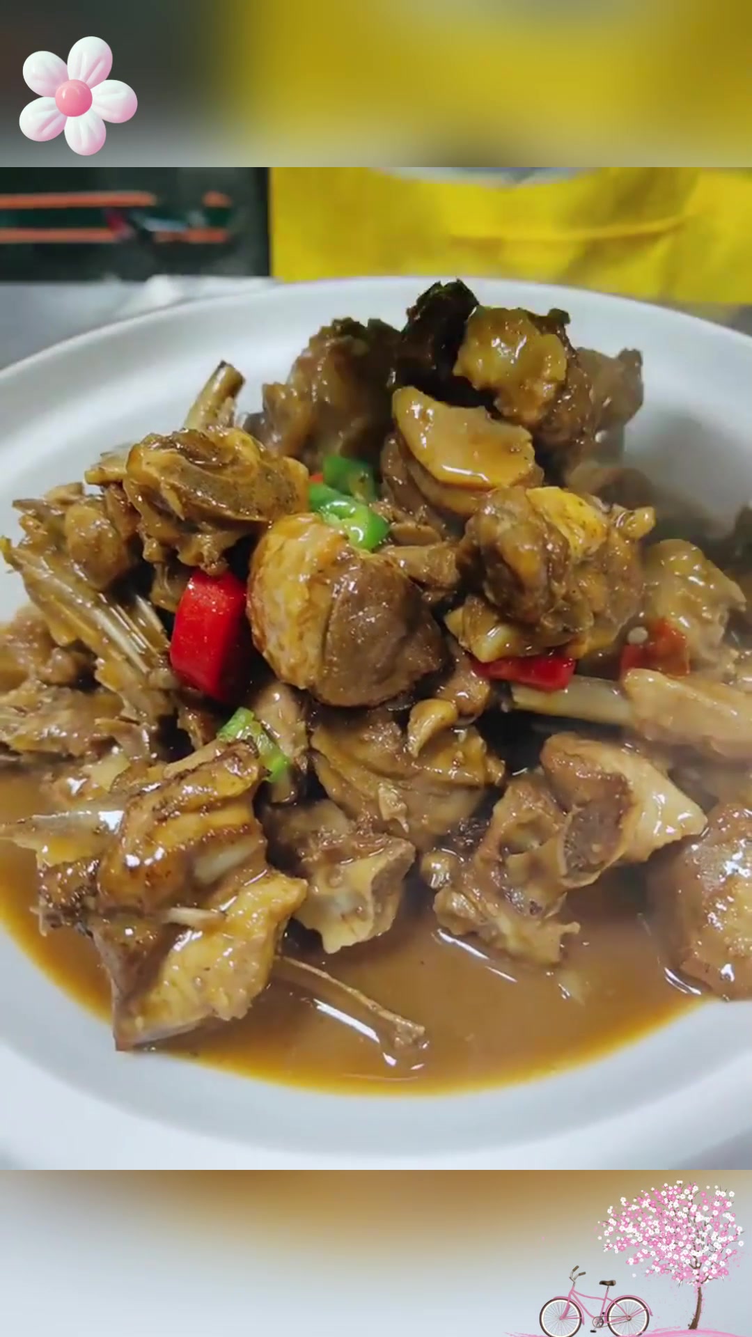 家烧红嘴雁:肉质鲜嫩,营养丰富