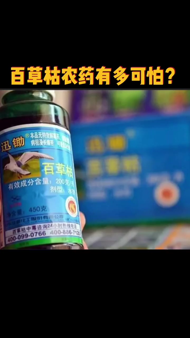 百草枯农药,到底多可怕?