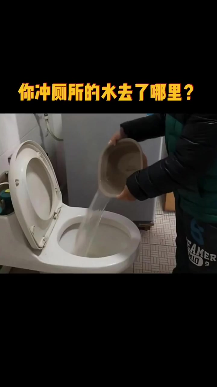 你冲厕所的水最终去了哪里?
