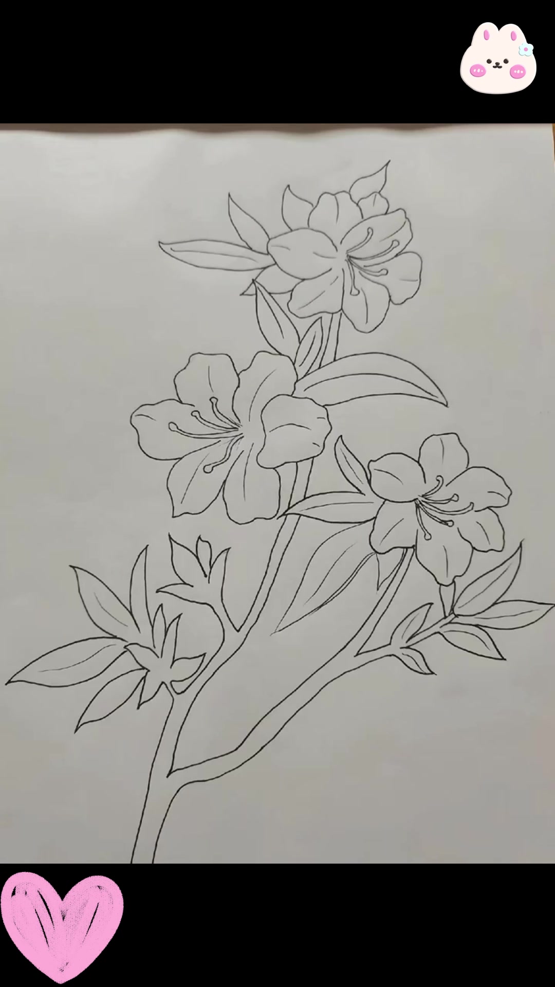 手绘杜鹃花,绽放艺术之美