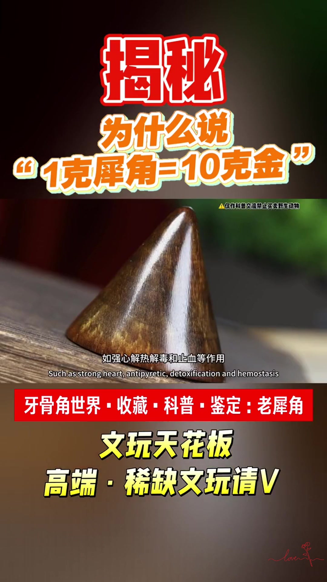 1 克犀角=1 克黄金?为什么说犀角如此珍贵?
