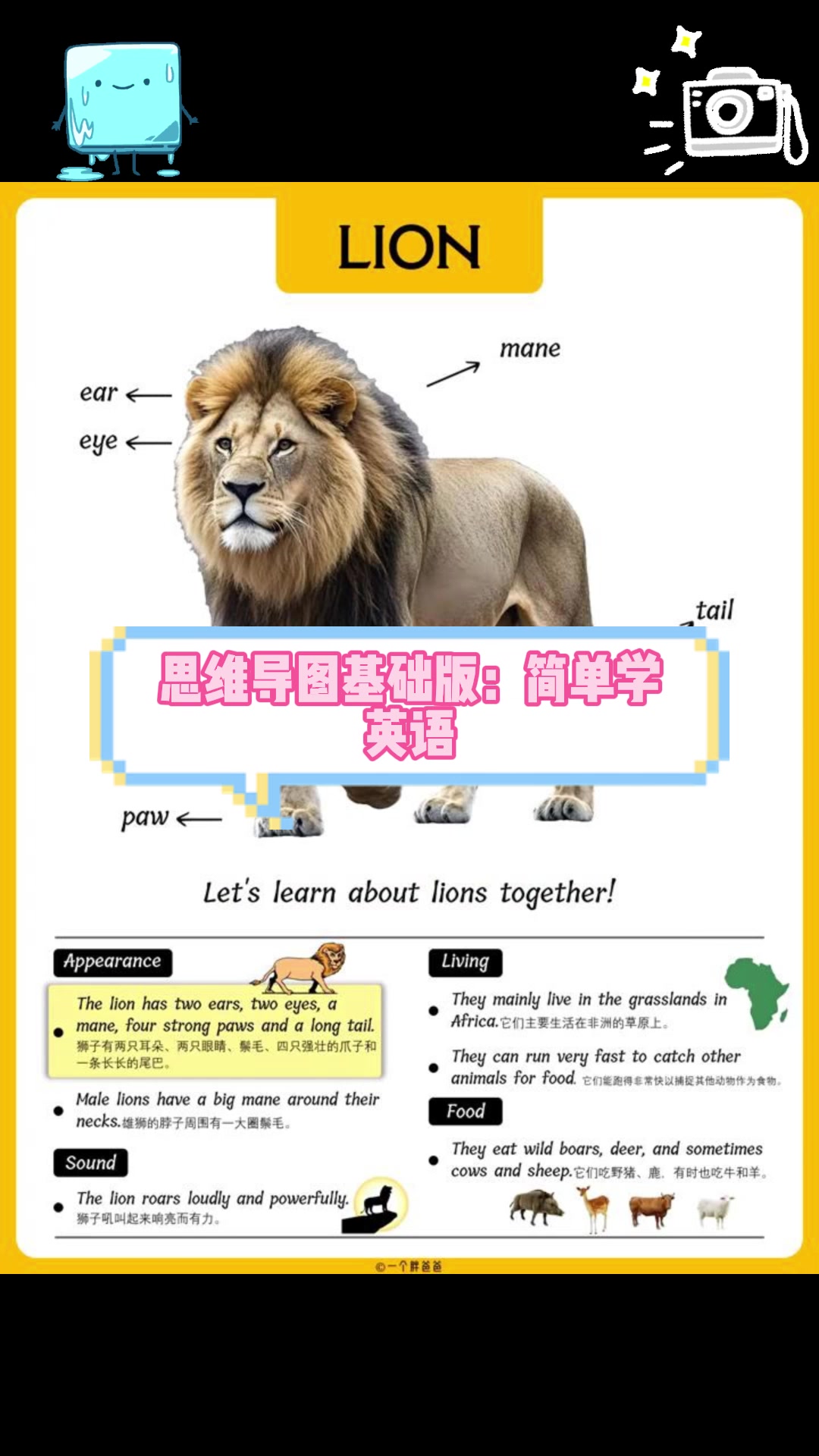 思维导图基础版:简单学英语