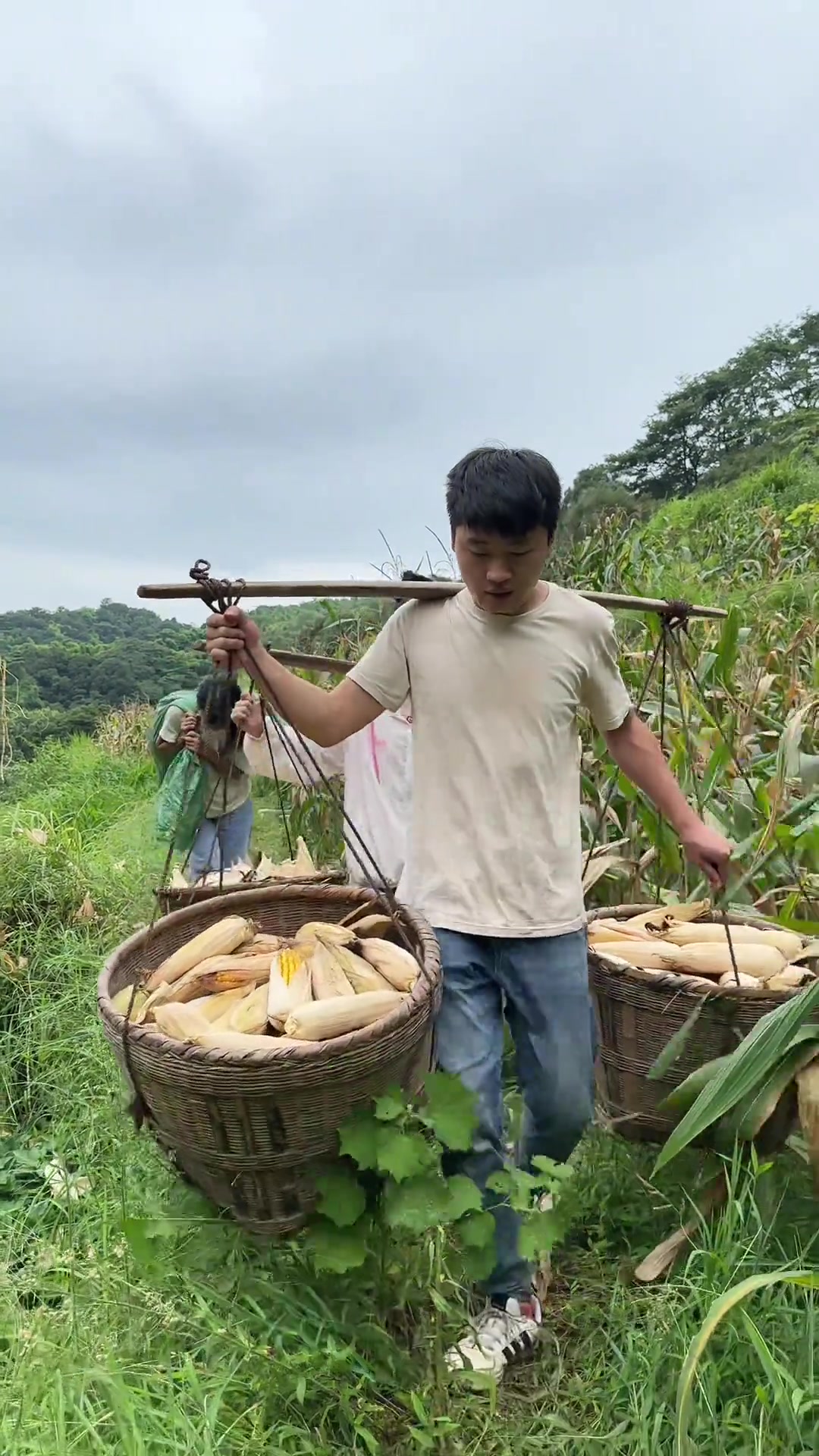 和老婆还有姐姐一起来收玉米了,其实收玉米没那么累,就是扛回去辛苦