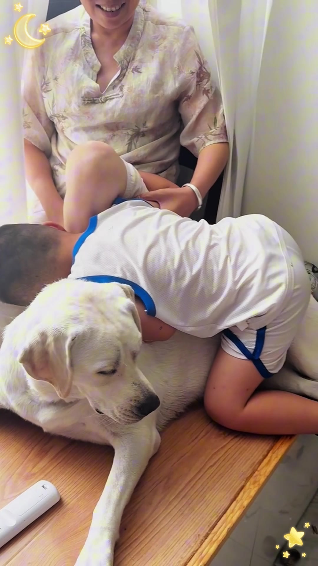 被哥哥当成坐骑的拉布拉多,也太温柔了吧!