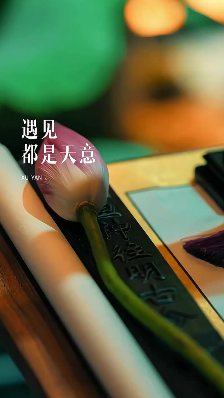 遇见都是天意,拥有都是幸运