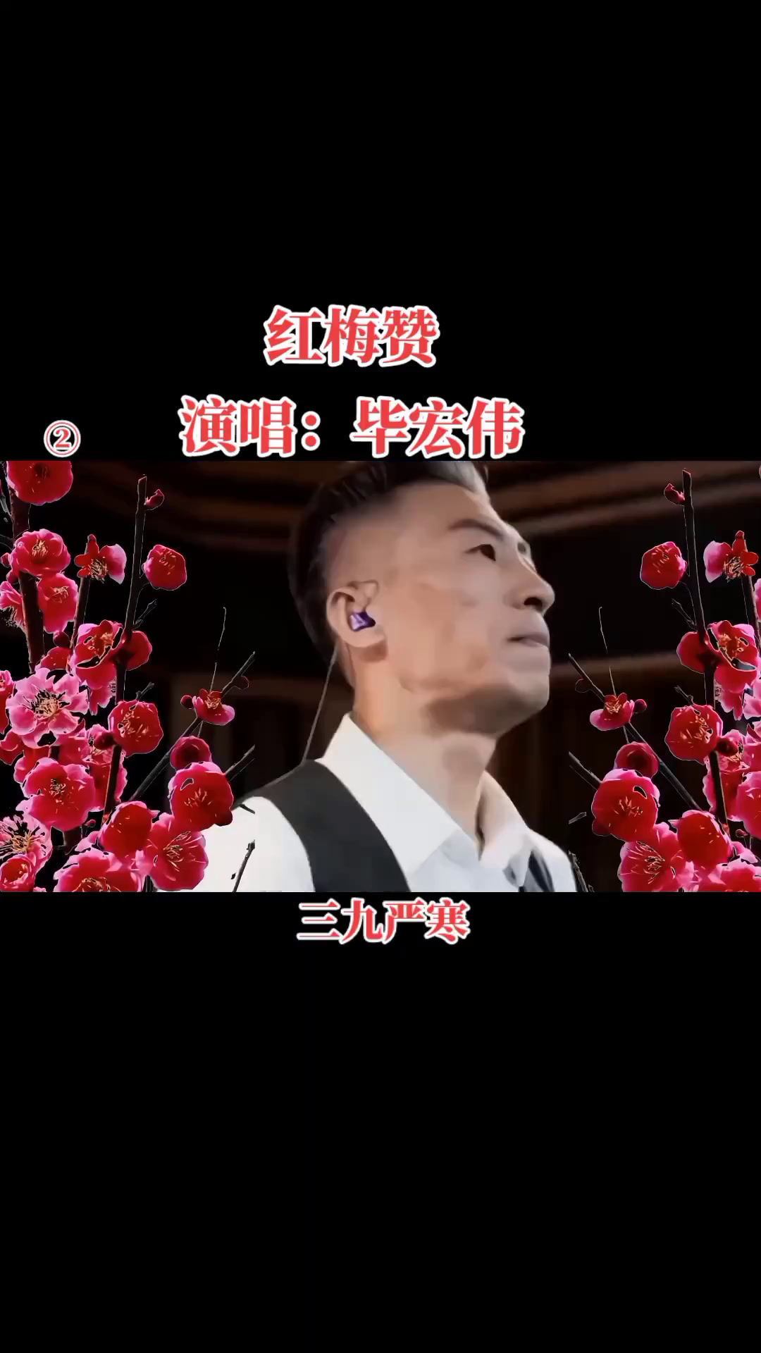 毕宏伟演唱的 红梅赞