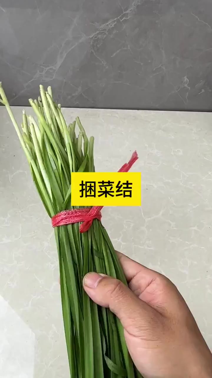 捆菜结捆菜结