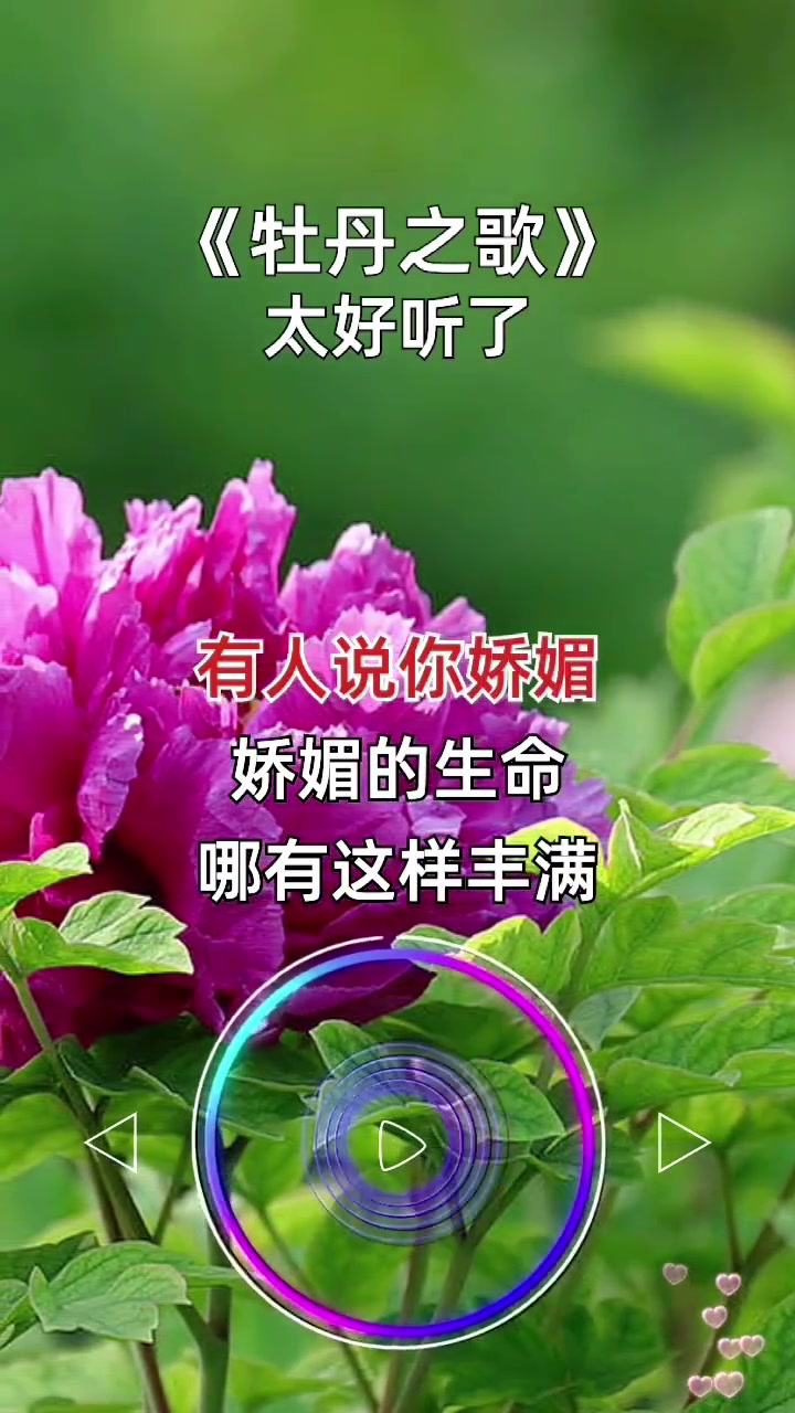 经典老歌 牡丹之歌