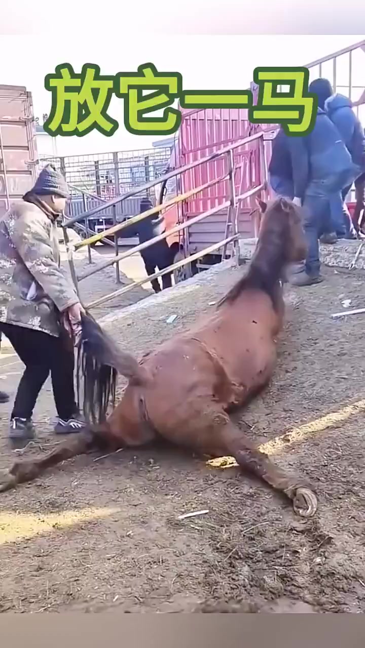 能不能放它一马,看着挺可怜的
