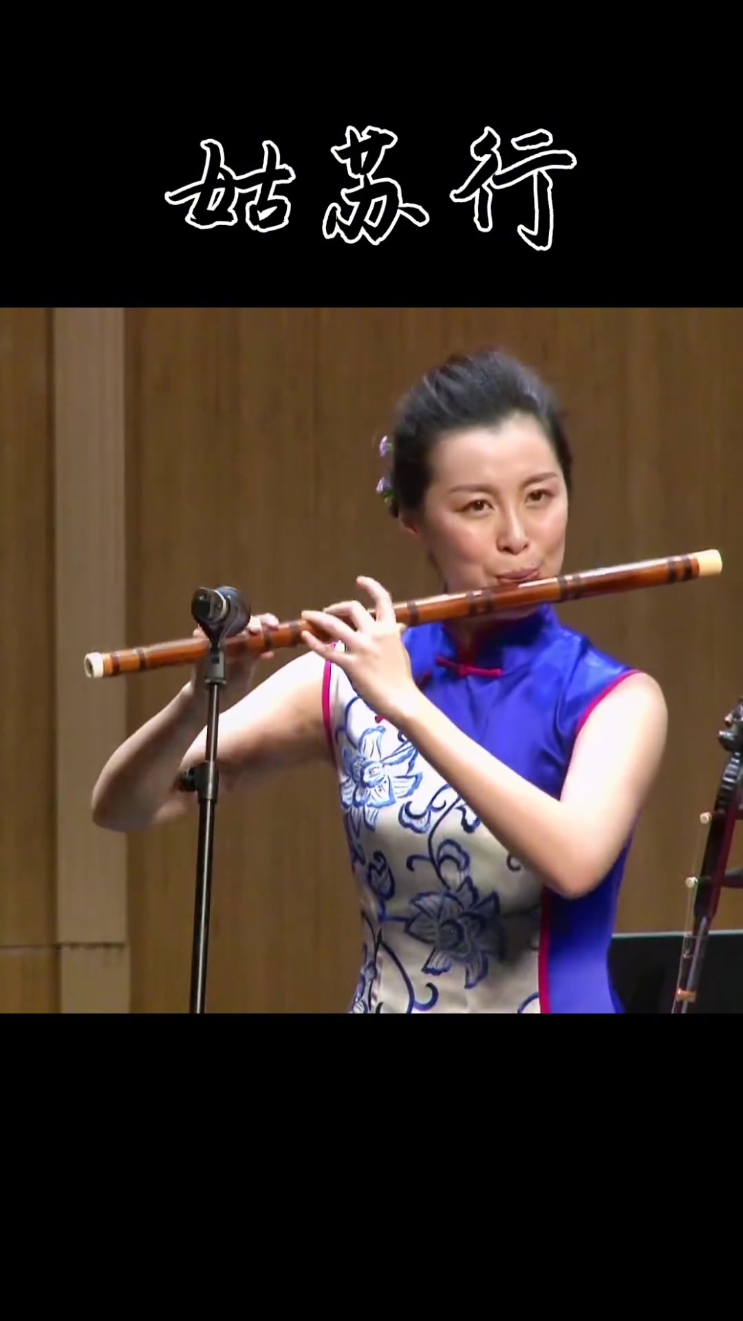 中国古典纯音乐,十大笛子名曲《姑苏行》