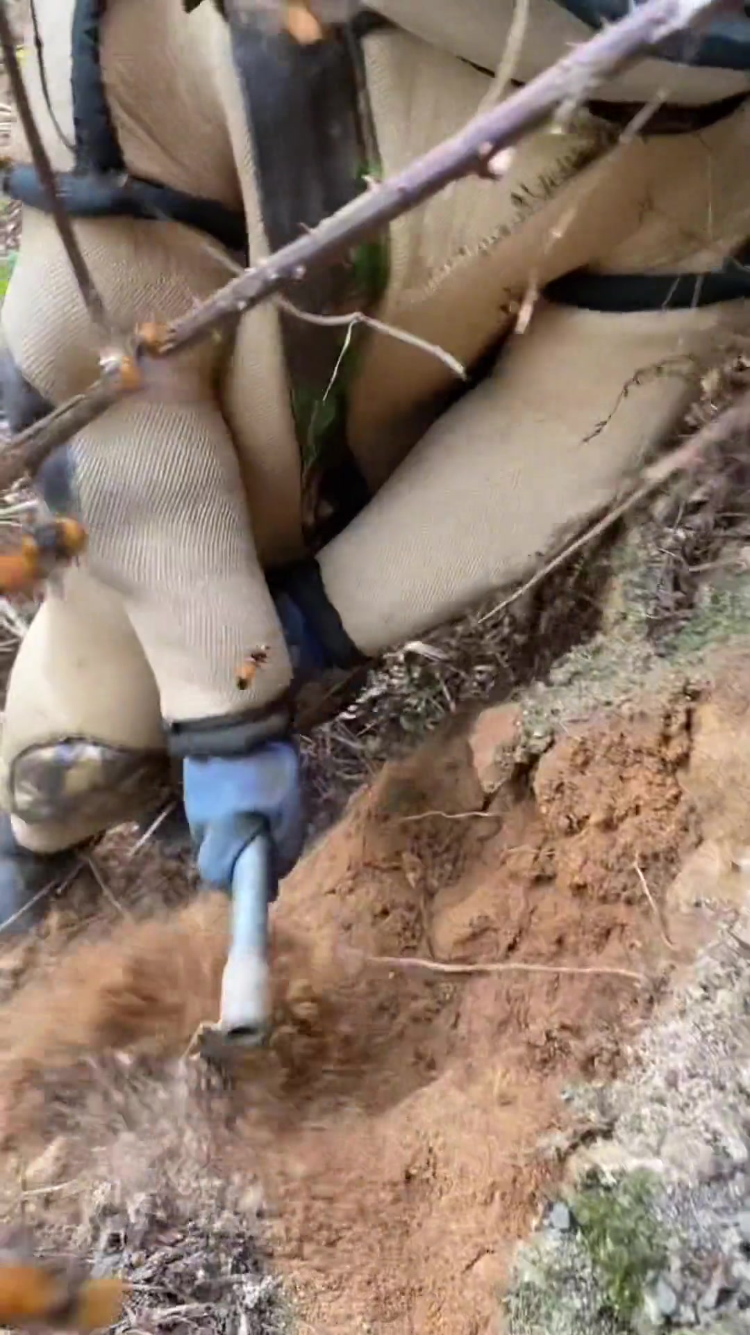 在翁源发现一窝巨型虎头蜂窝,20 多斤 拍摄挖虎头蜂窝视频分享真实