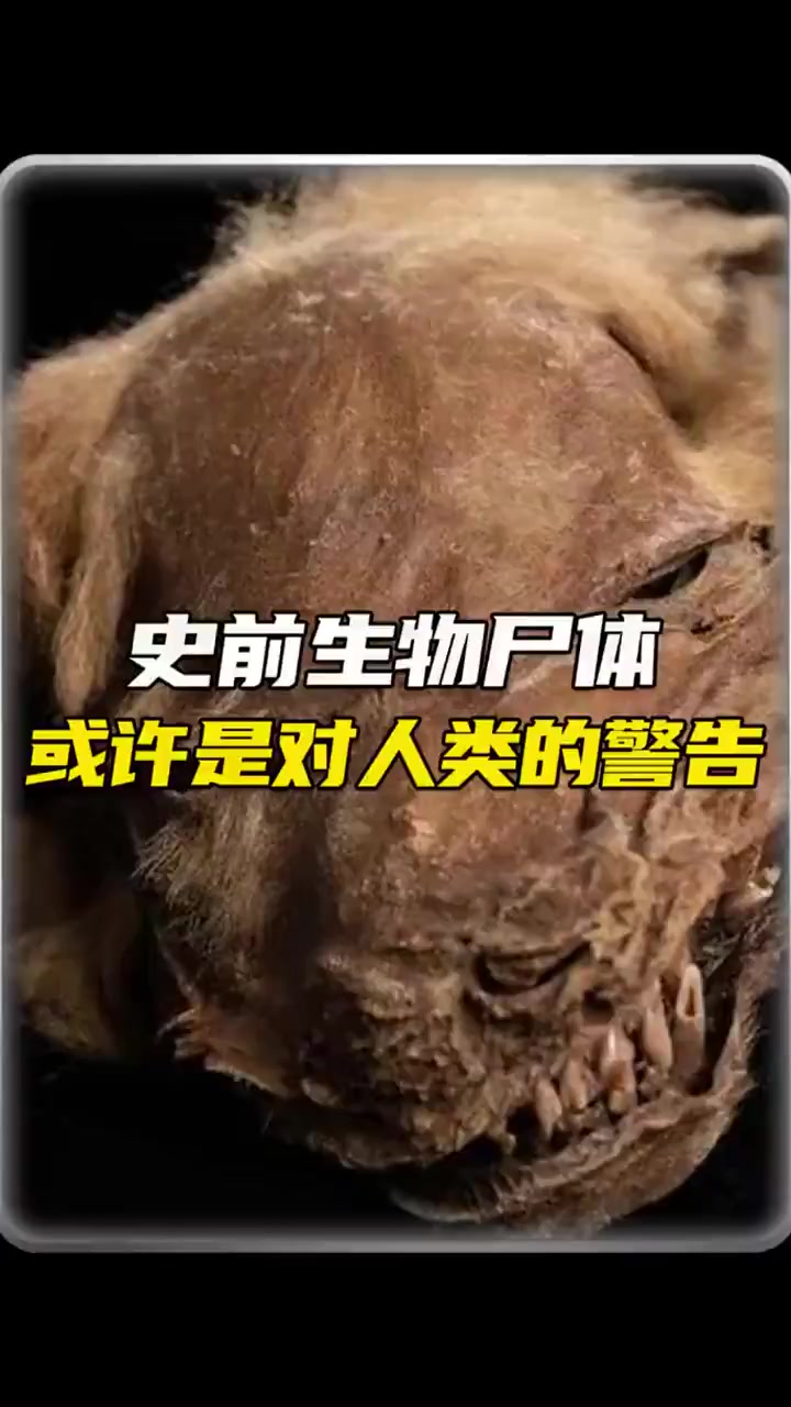 南极发现史前生物尸体,或许是给人类的警告