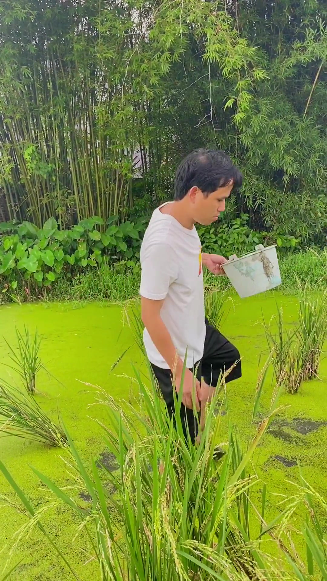 什么是贺一贺?我的乡村生活 磁铁李飞(沙雕村)