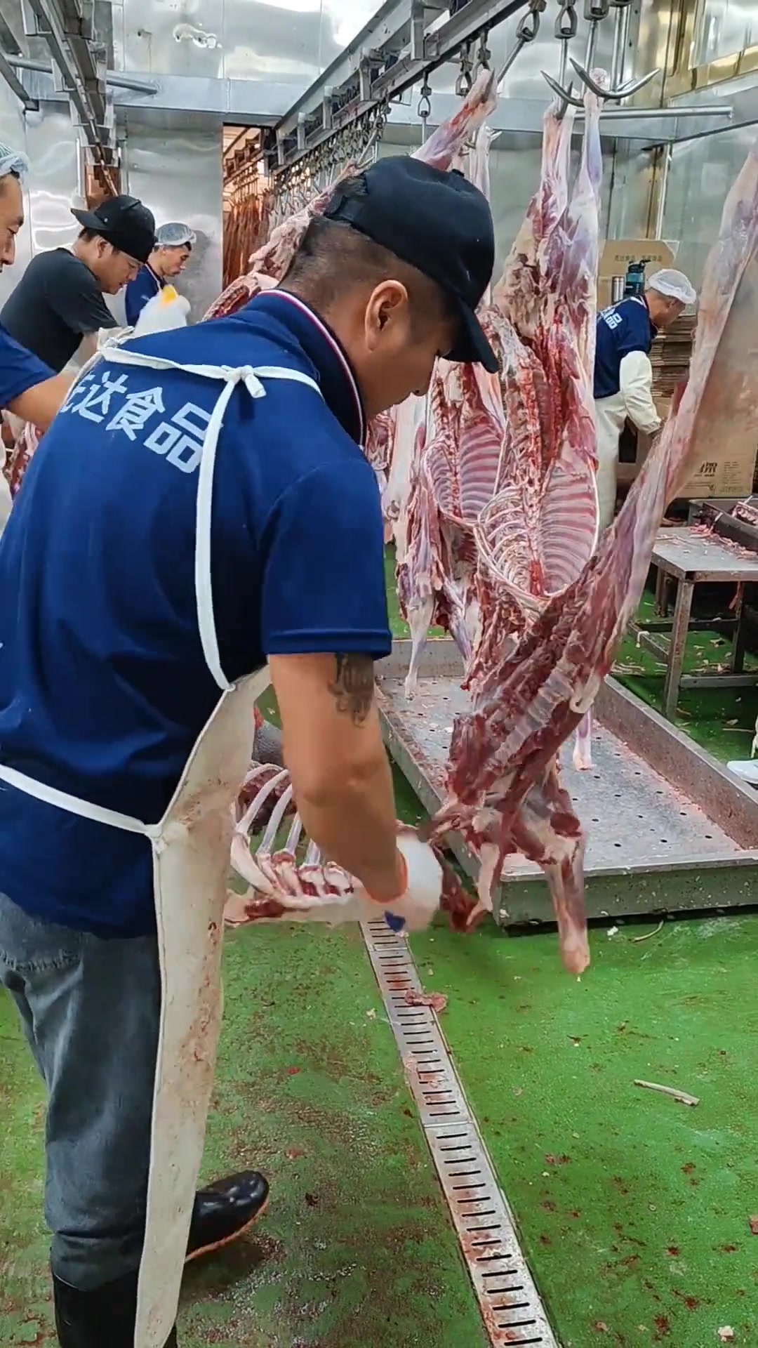 羊屠宰分割副产品加工