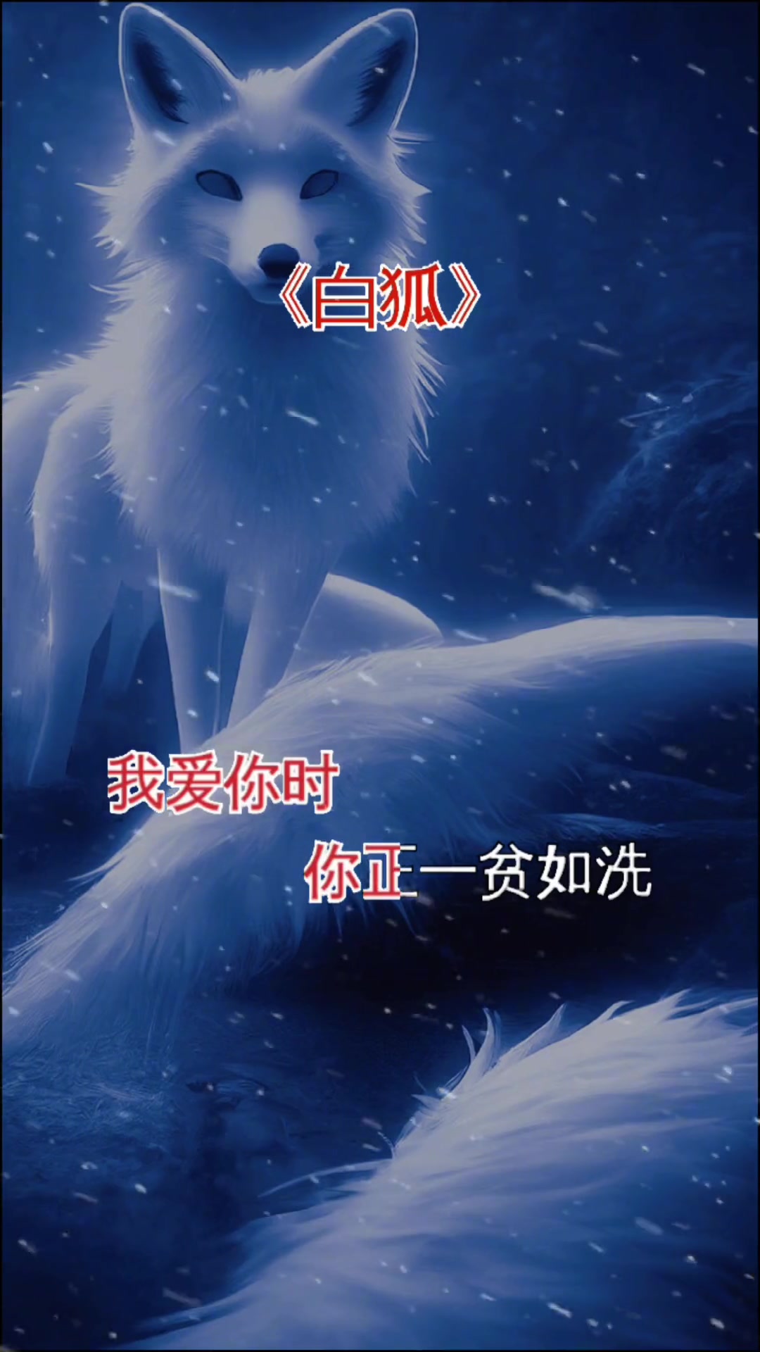 白狐的故事=白狐的故事简介